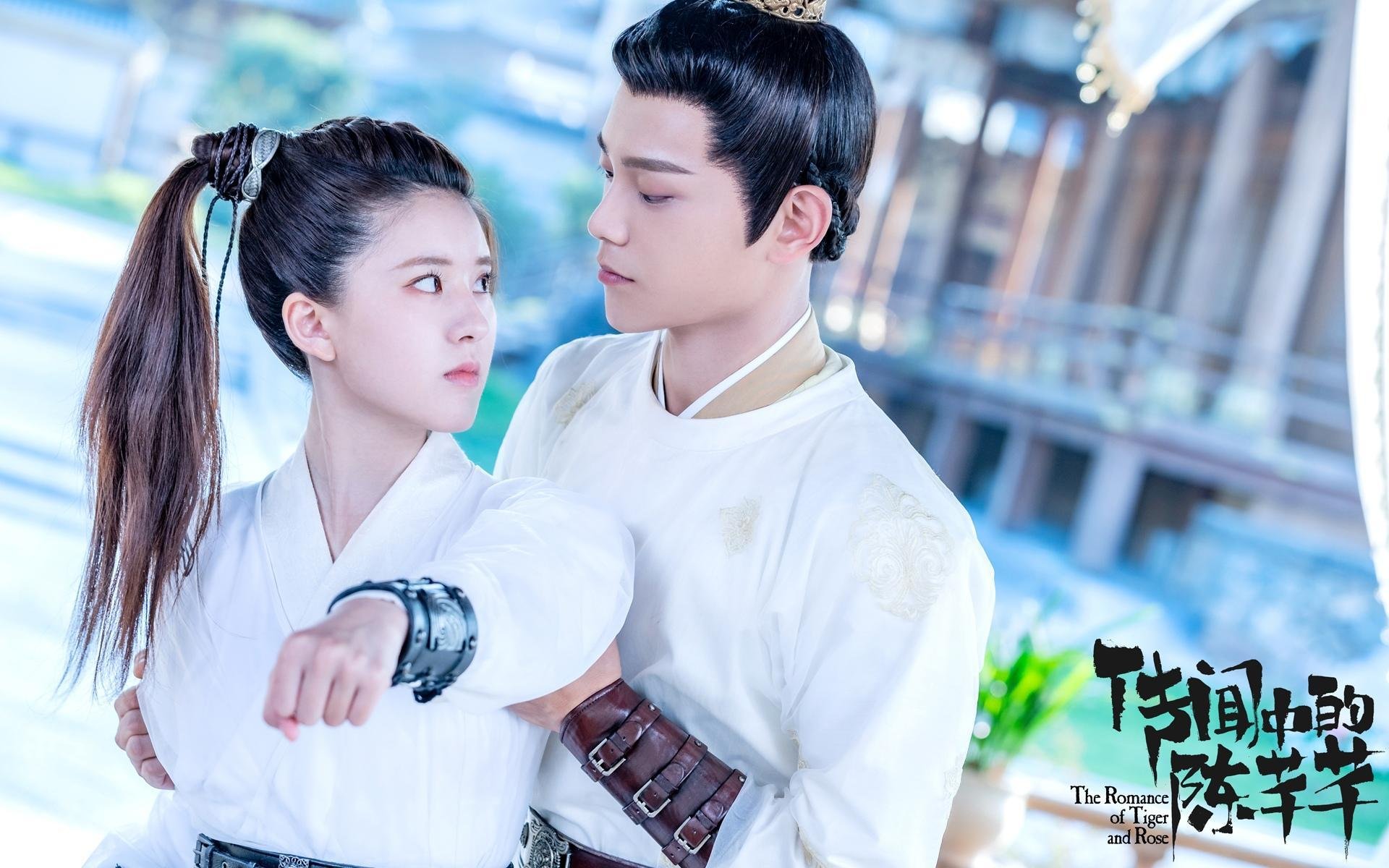 体育场馆服务标准制定，体育场馆服务质量标准的制定与实施