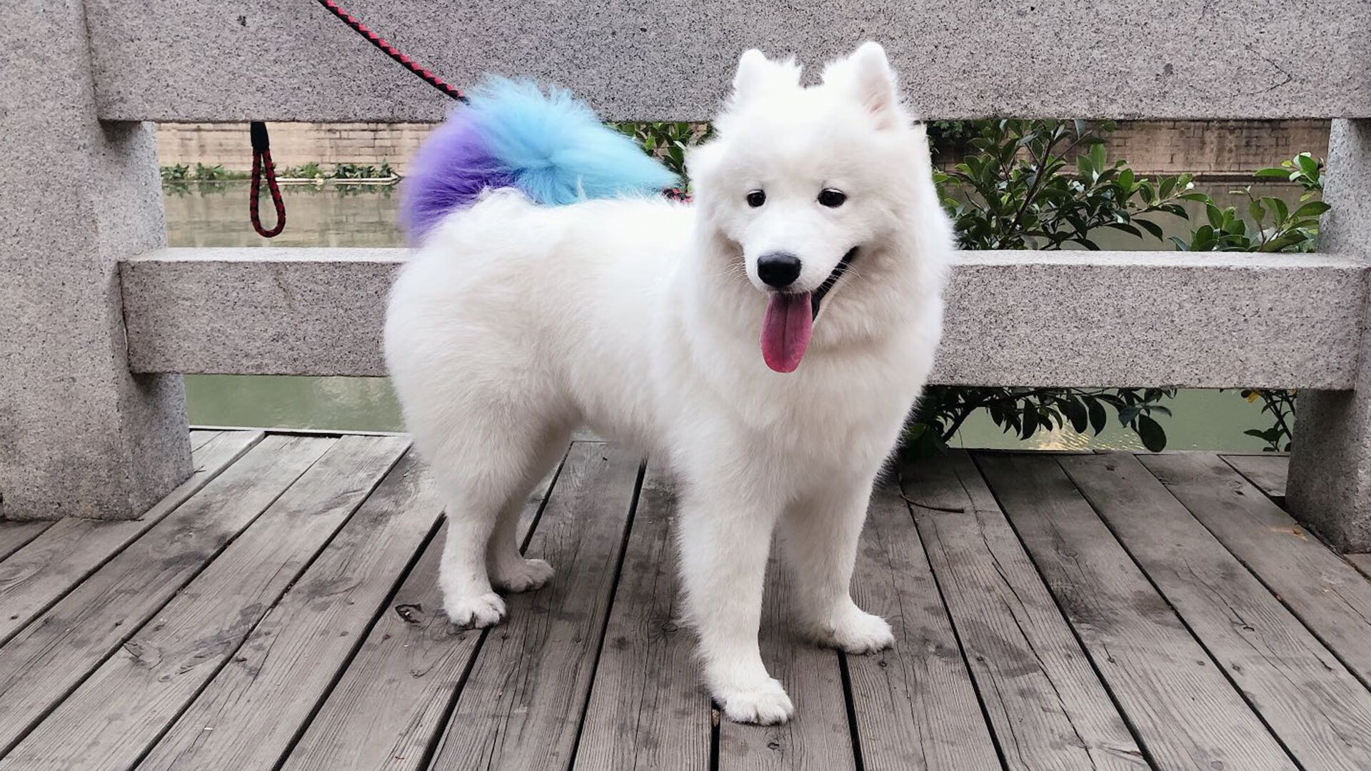 国足与世界强队场面压制能力差距,国足和其他国家对比